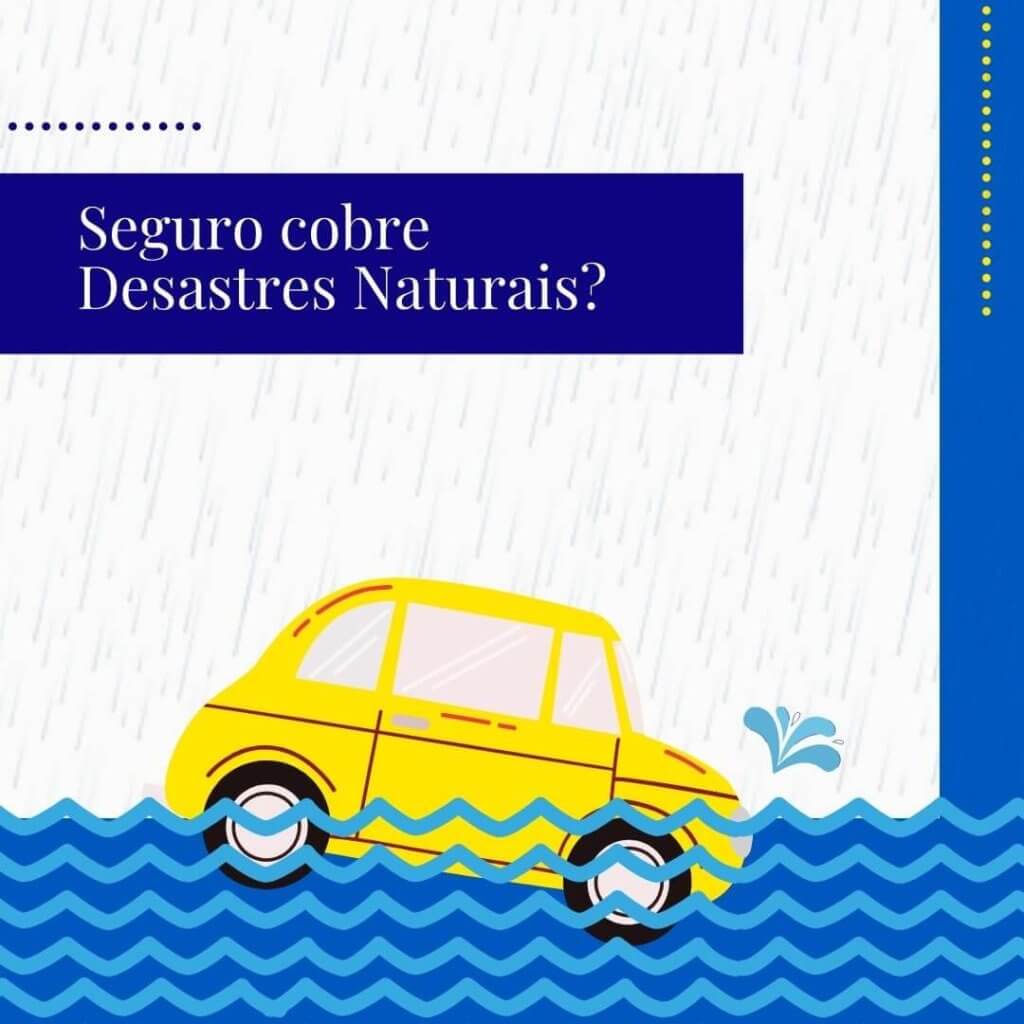 Desastres Naturais