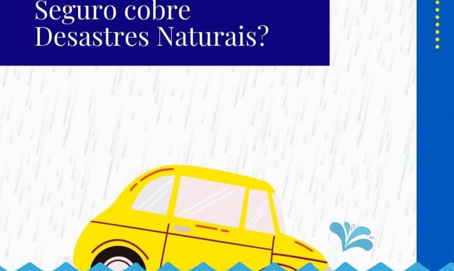 Desastres Naturais